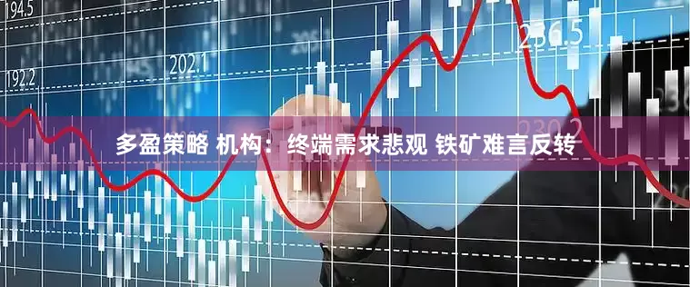 多盈策略 机构：终端需求悲观 铁矿难言反转