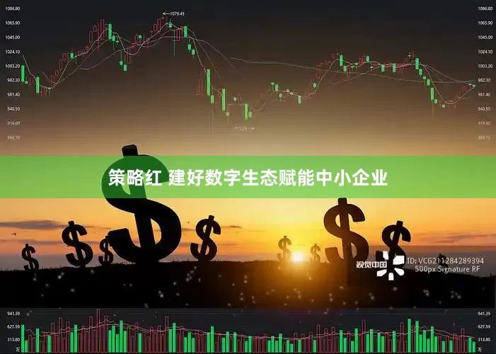 策略红 建好数字生态赋能中小企业