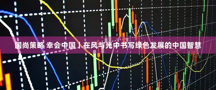 国尚策略 幸会中国丨在风与光中书写绿色发展的中国智慧